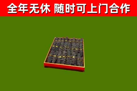 刚察回收海参